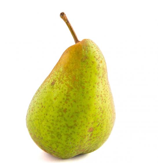 Pyrus communis Saphira C5 Lit. 60-80 cm Stebričasta