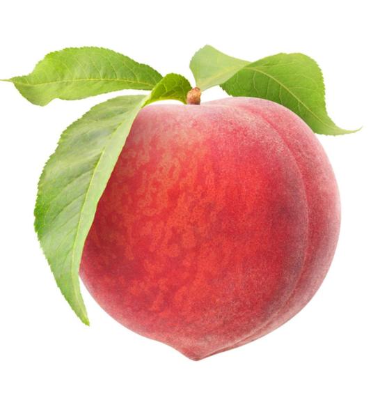 Prunus persica Bonanza C5 Lit. 60-80 cm Na steblu