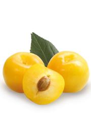 Prunus domestica Mirabelle de Nancy C5 Lit. 100-125 cm