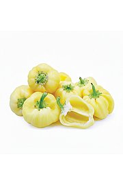 Paprika Snow White Ø10,5