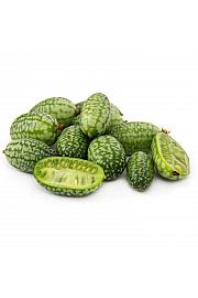 Melothia scabra Solana Mehiška kumarica Ø10,5