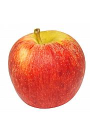 Malus domestica Pinova C7,5 Lit. 125-150 cm