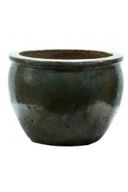 Lonec Zelena;D71H54;5116240