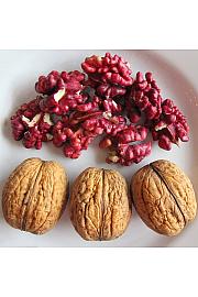 Juglans regia Sychrow C7,5 Lit. 125-150 cm