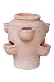 Jagodnjak Terracotta; D50H48; 1#