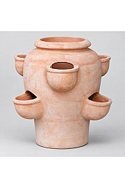 Jagodnjak Terracotta; D50H48; 1#