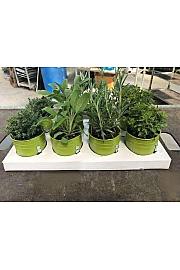 Dišavnice Ø9 mix kovinski lonček z magnetom