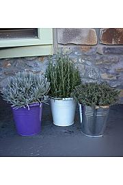 Dišavnice Ø18 mix barvni kovinski lonček