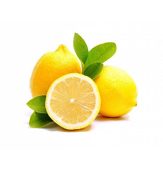 Citrus sinensis Limon Ø35 cm; 130 cm Špalir