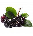 Aronia prunifolia Viking C2 Lit. 30-40 cm