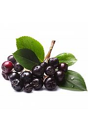 Aronia prunifolia Viking C2 Lit. 30-40 cm