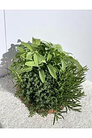 Dišavnice Ø25 trio mix